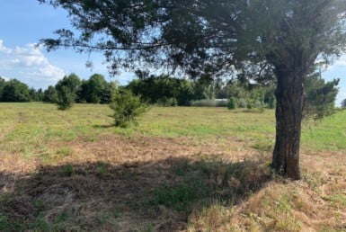 22.5 acres in Red River County