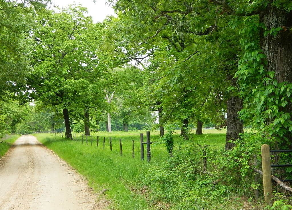 40 acres in Red River County