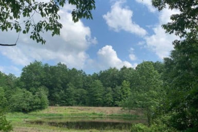 20 acres in Lamar County