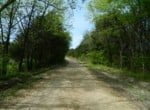 12 acres in Lamar County