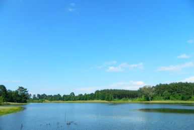 435 acres in Shelby County