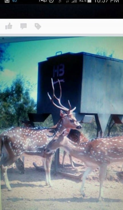 346 acres in Foard County