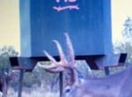 346 acres in Foard County