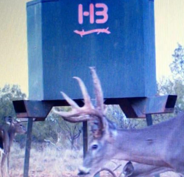 346 acres in Foard County