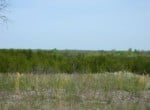 12 acres in Lamar County