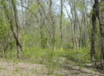 12 acres in Lamar County