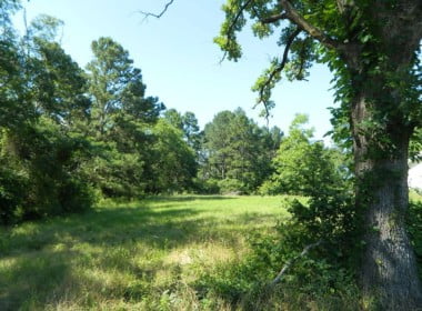 126.55 acres in Wood County