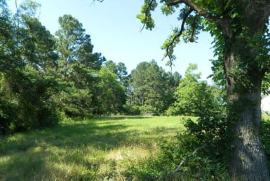 126.55 acres in Wood County