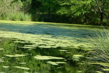 208 acres in Cass County