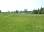 201 acres in Titus County