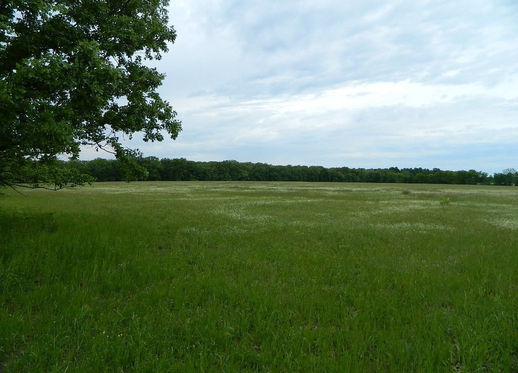 40 acres in Red River County