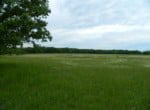 40 acres in Red River County