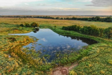 1,301 acres in Clay County
