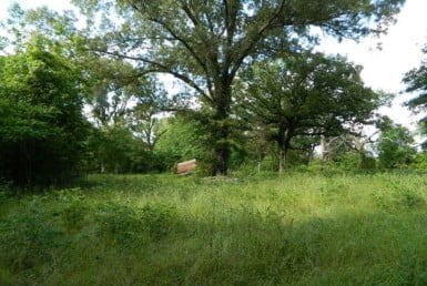 11 acres in Bowie County