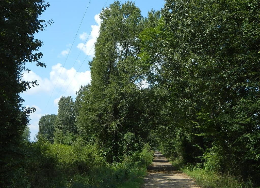 201 acres in Titus County