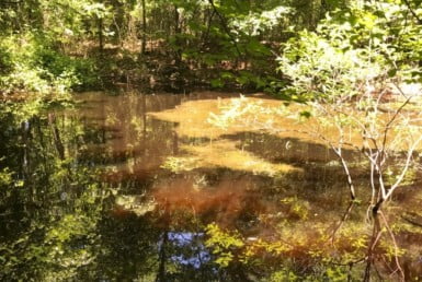 25 acres in Red River County