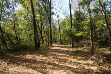 125 acres in Red River County