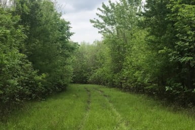244 acres in Red River County