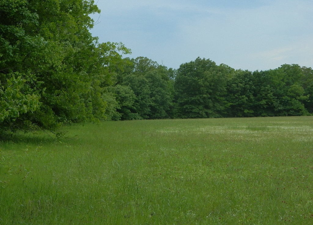 40 acres in Red River County