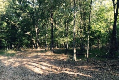 137 acres in Red River County