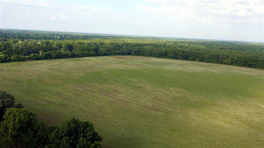 40 acres in Red River County