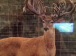 216 acres in Red River County