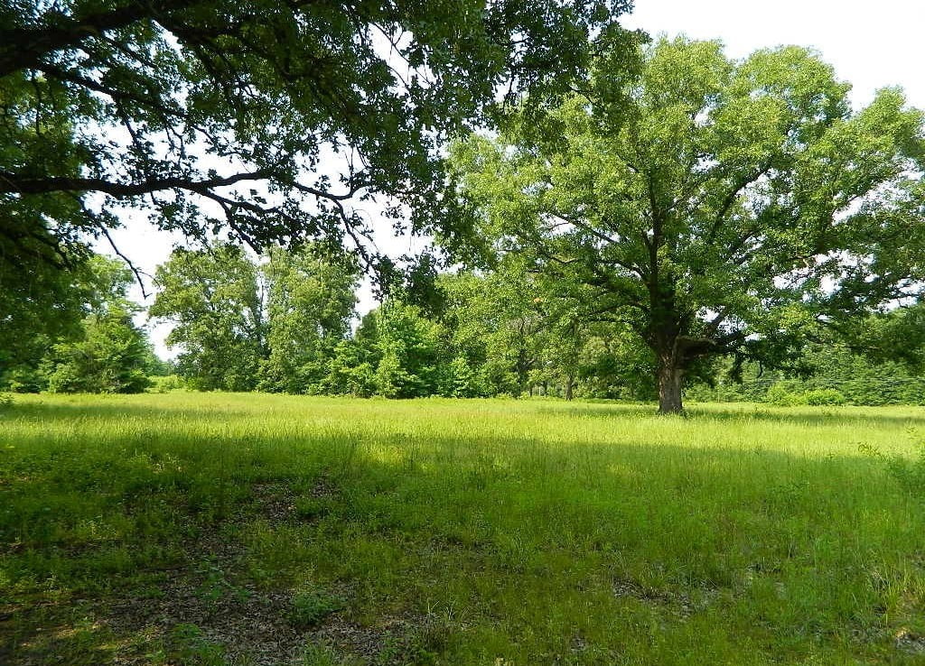 8 acres in Titus County