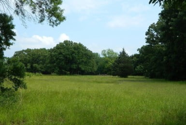 8 acres in Titus County