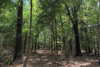 4 acres in Red River County