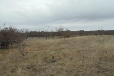 1.68 acres in Coleman County