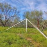 640 acres in Wilbarger County
