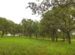 300 acres in Montague County