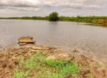 687 acres in Clay County