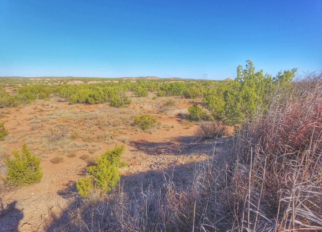 1,401 acres in Hardeman County