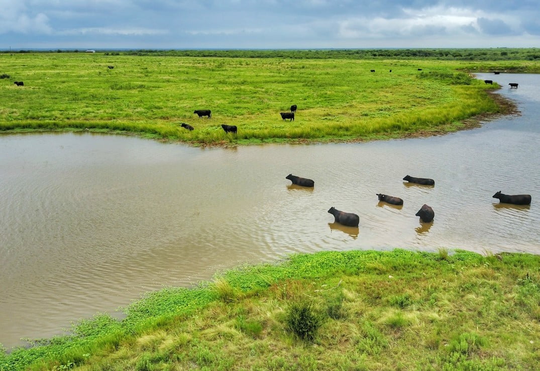 687 acres in Clay County