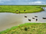 687 acres in Clay County