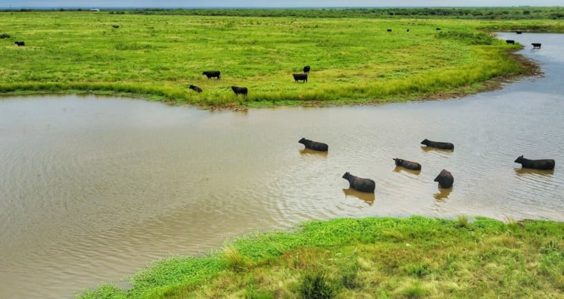 687 acres in Clay County