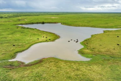 687 acres in Clay County