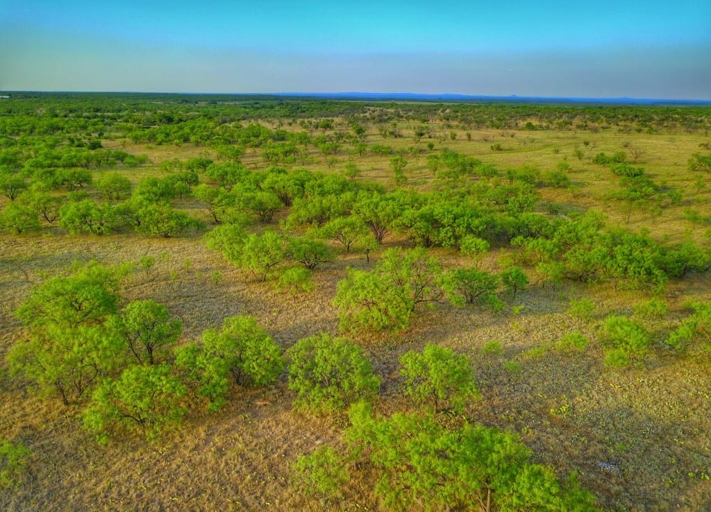 640 acres in Callahan County