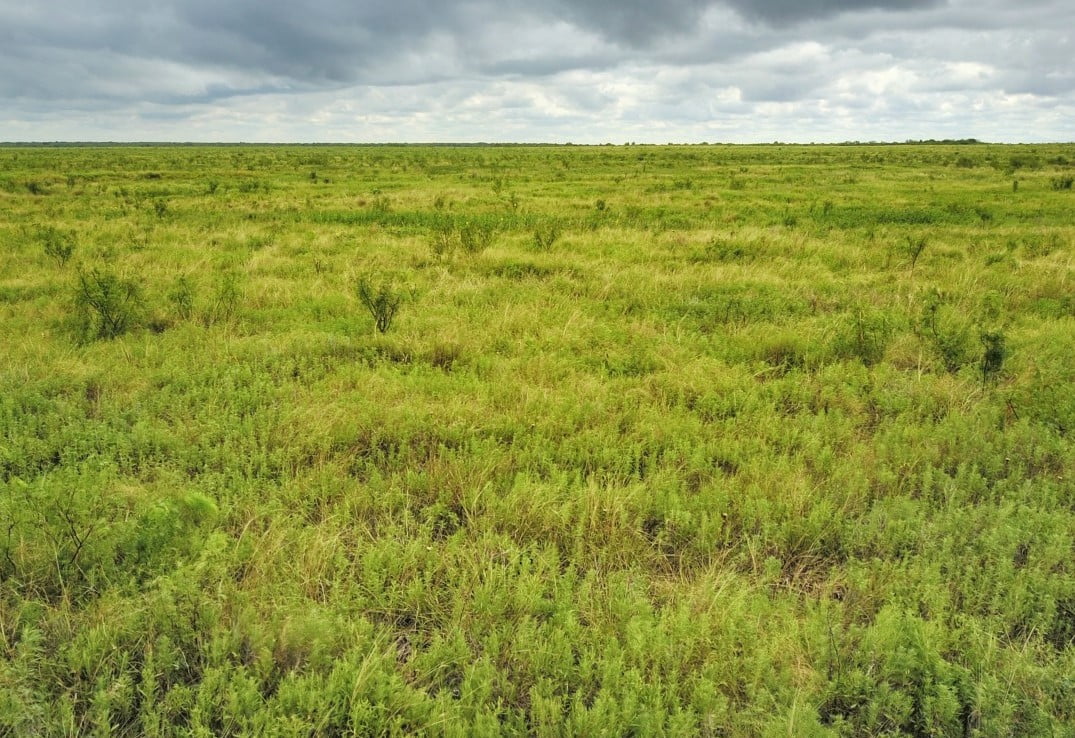 687 acres in Clay County