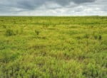 687 acres in Clay County