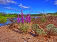 368 acres in King County
