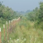 75 acres in Wilbarger County