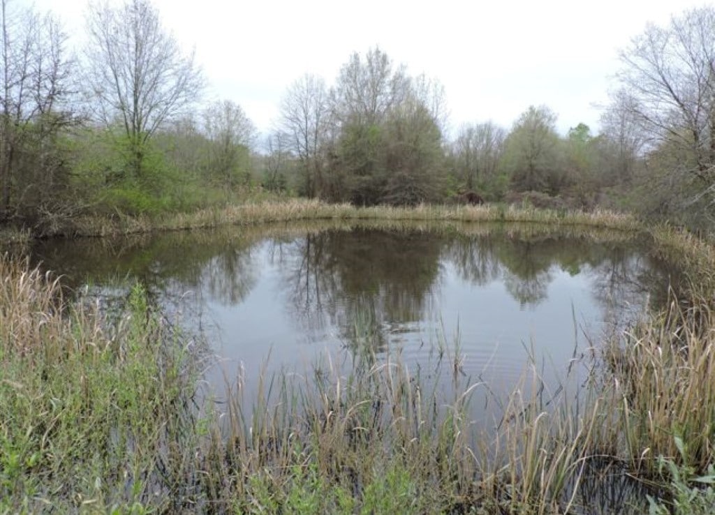 76 acres in Wood County