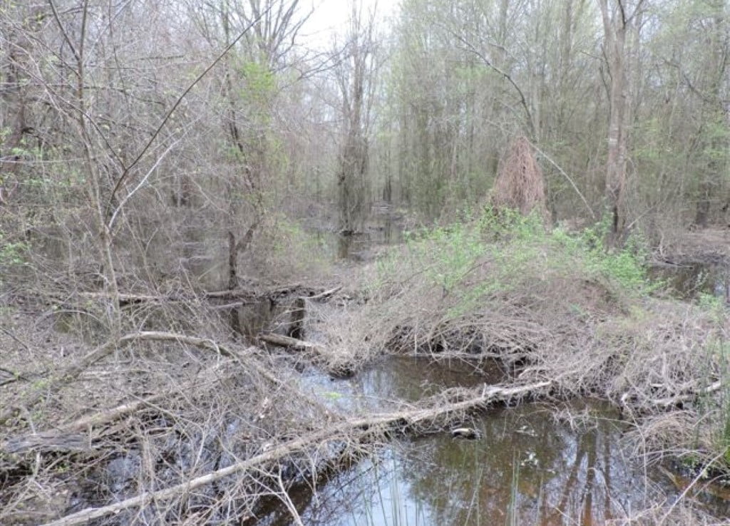 76 acres in Wood County