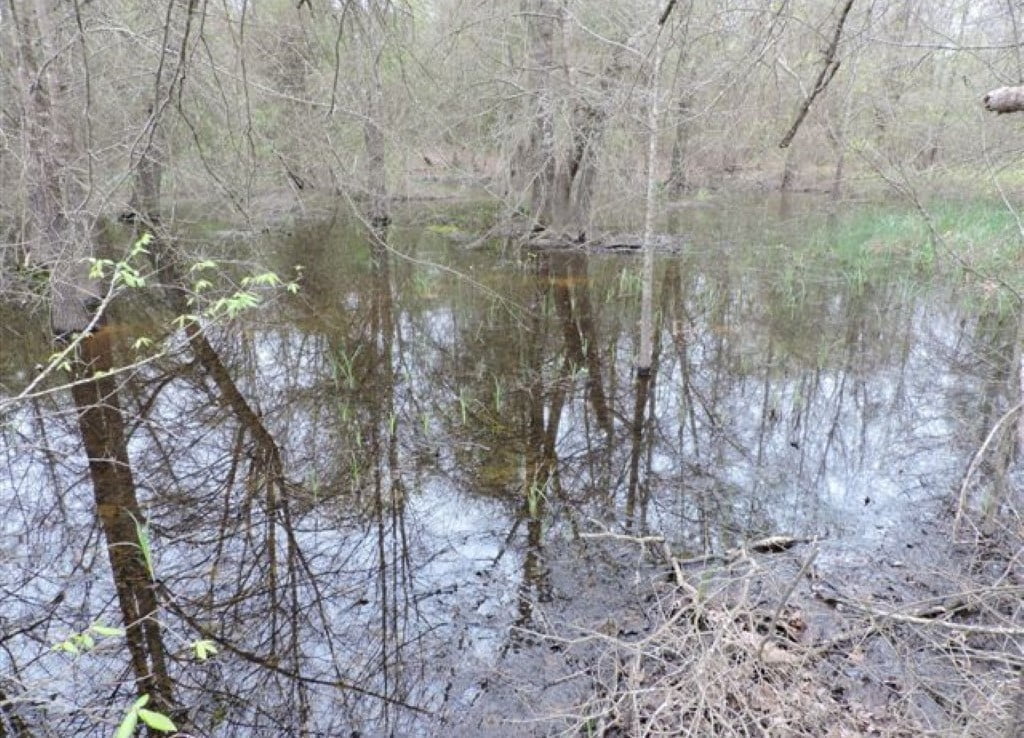 76 acres in Wood County