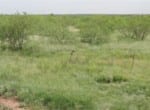 346 acres in Foard County