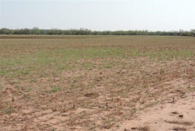 1,815 acres in Baylor County