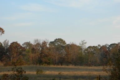 11 acres in Titus County
