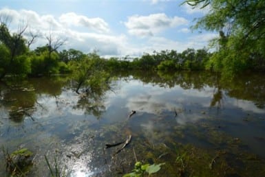 481 acres in Throckmorton County